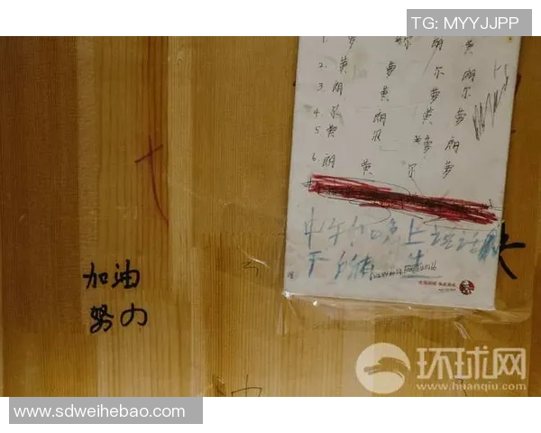 中国足球缺乏球星现象背后的深层原因与未来发展趋势探讨